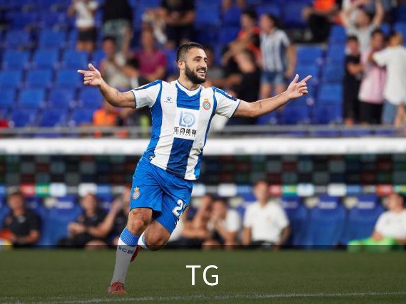 关于TG
